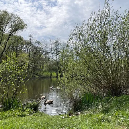 펜션 Am Sternberg 38 By Interhome *